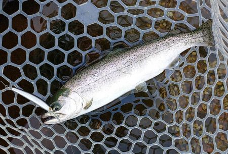 何かを掴めたのかな ～フィッシングパーク高…